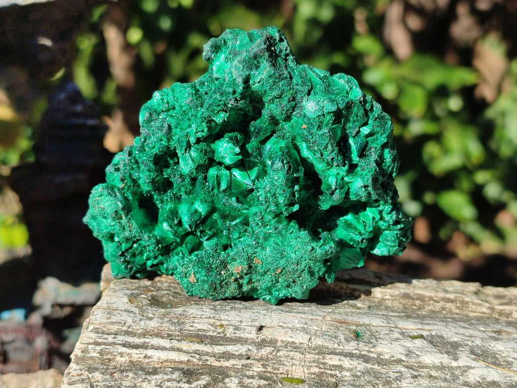 Natural Silky Malachite Specimens x 6 From Kasompe, Congo - Toprock Gemstones and Minerals 