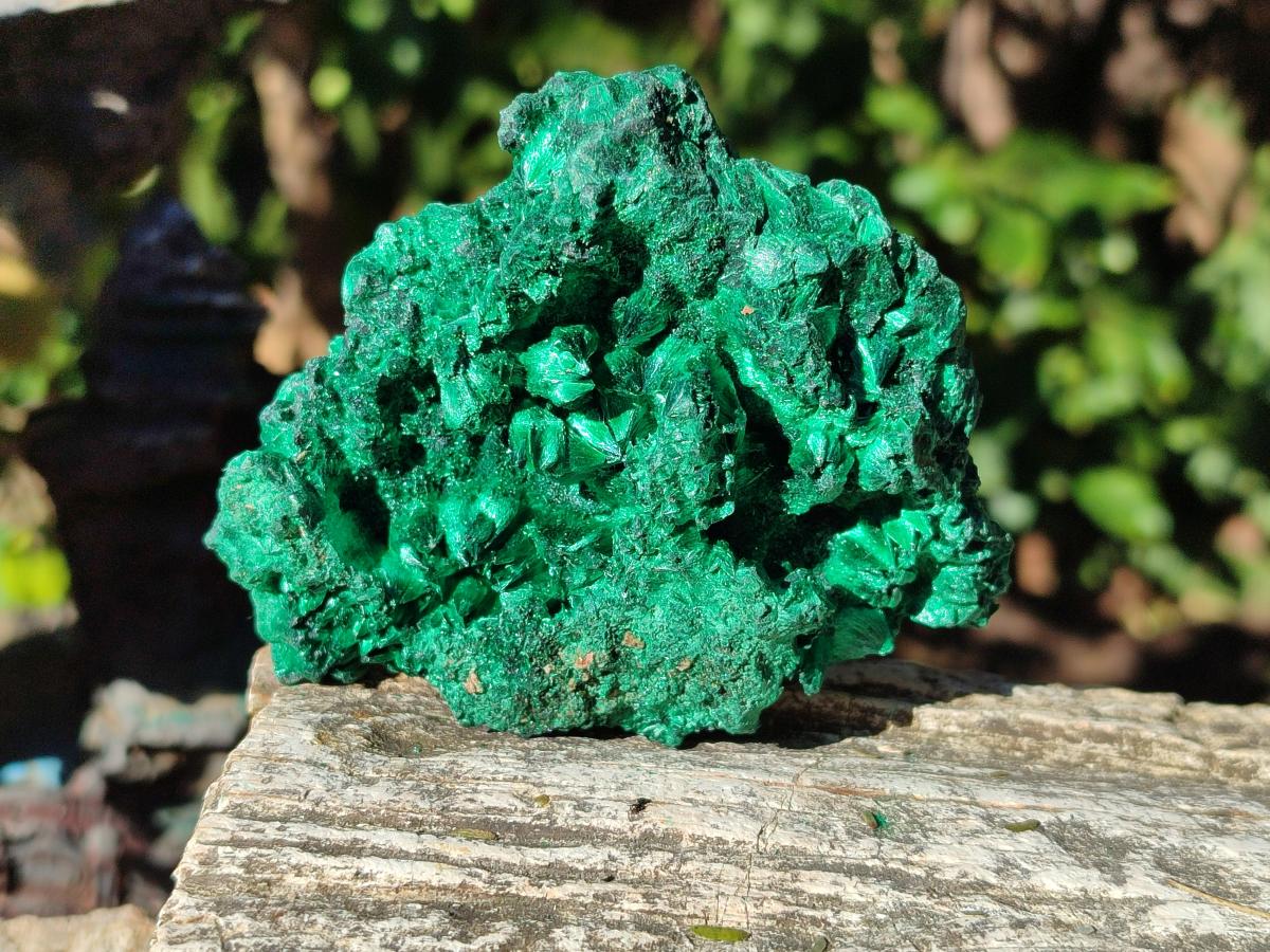 Natural Silky Malachite Specimens x 6 From Kasompe, Congo - Toprock Gemstones and Minerals 