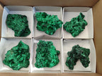 Natural Silky Malachite Specimens x 6 From Kasompe, Congo - Toprock Gemstones and Minerals 