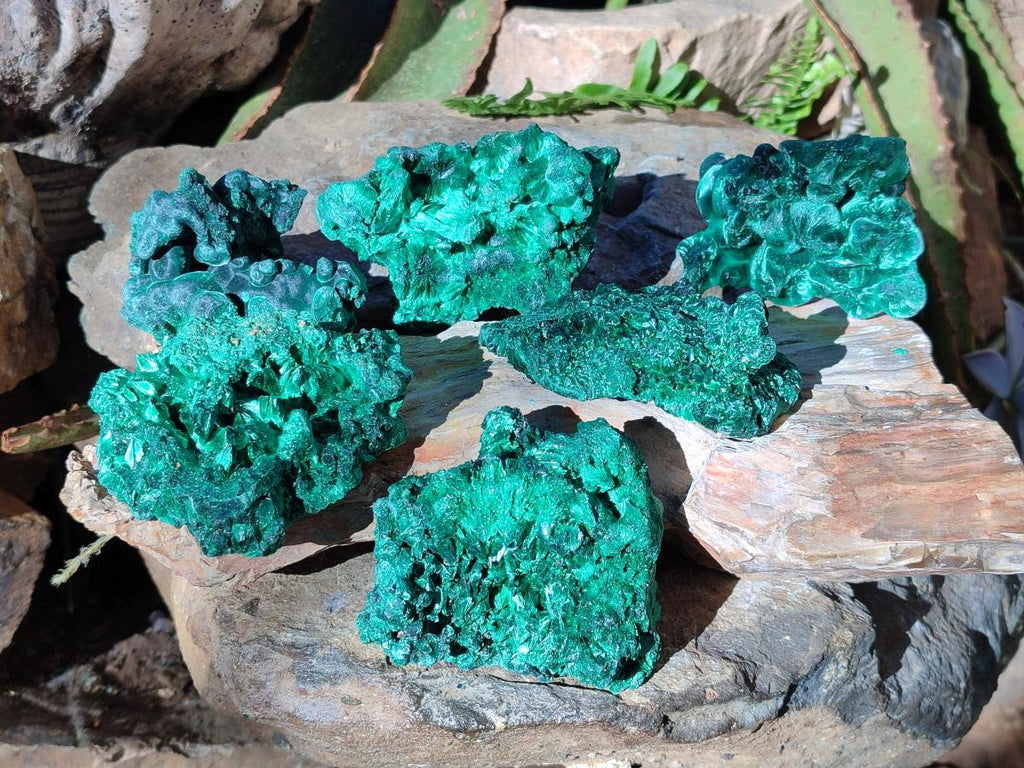 Natural Silky Malachite Specimens x 6 From Kasompe, Congo - Toprock Gemstones and Minerals 