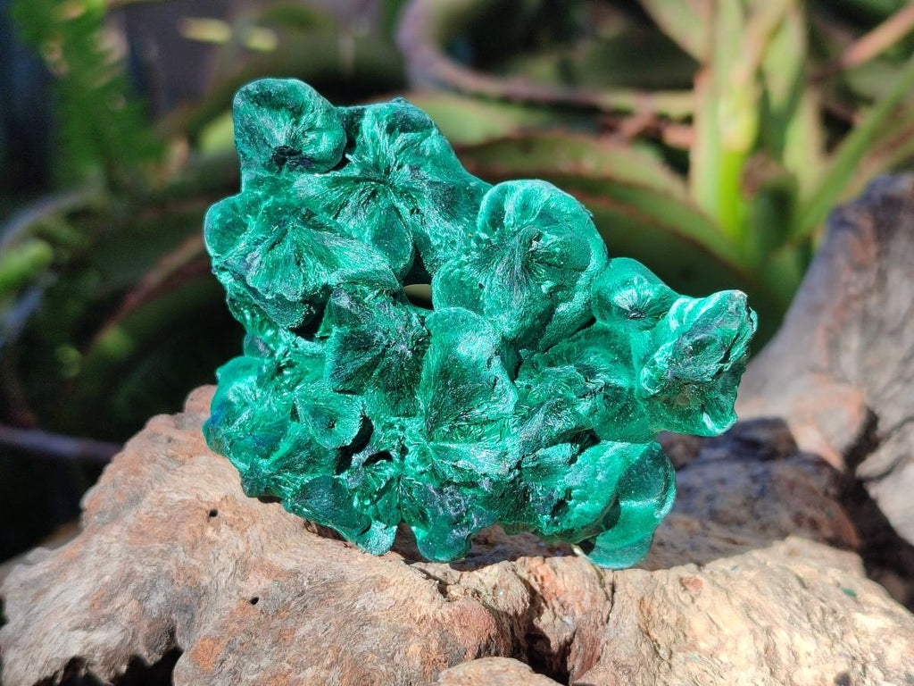 Natural Silky Malachite Specimens x 6 From Kasompe, Congo - Toprock Gemstones and Minerals 