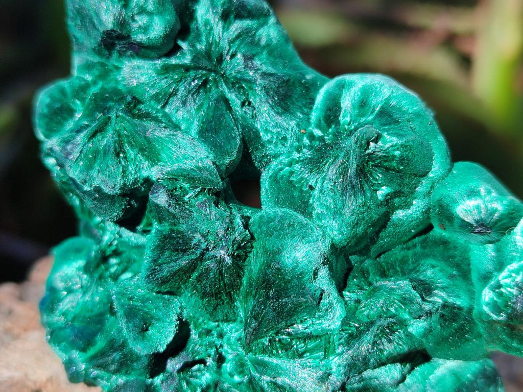Natural Silky Malachite Specimens x 6 From Kasompe, Congo - Toprock Gemstones and Minerals 