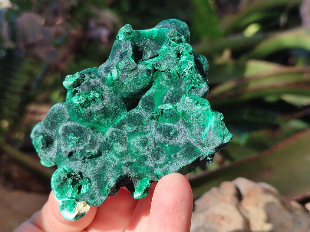 Natural Silky Malachite Specimens x 6 From Kasompe, Congo - Toprock Gemstones and Minerals 