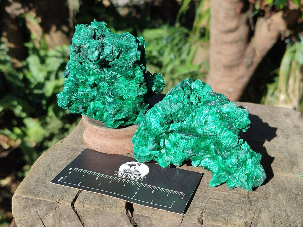 Natural Silky Malachite Specimens x 6 From Kasompe, Congo - Toprock Gemstones and Minerals 