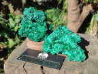 Natural Silky Malachite Specimens x 6 From Kasompe, Congo - Toprock Gemstones and Minerals 