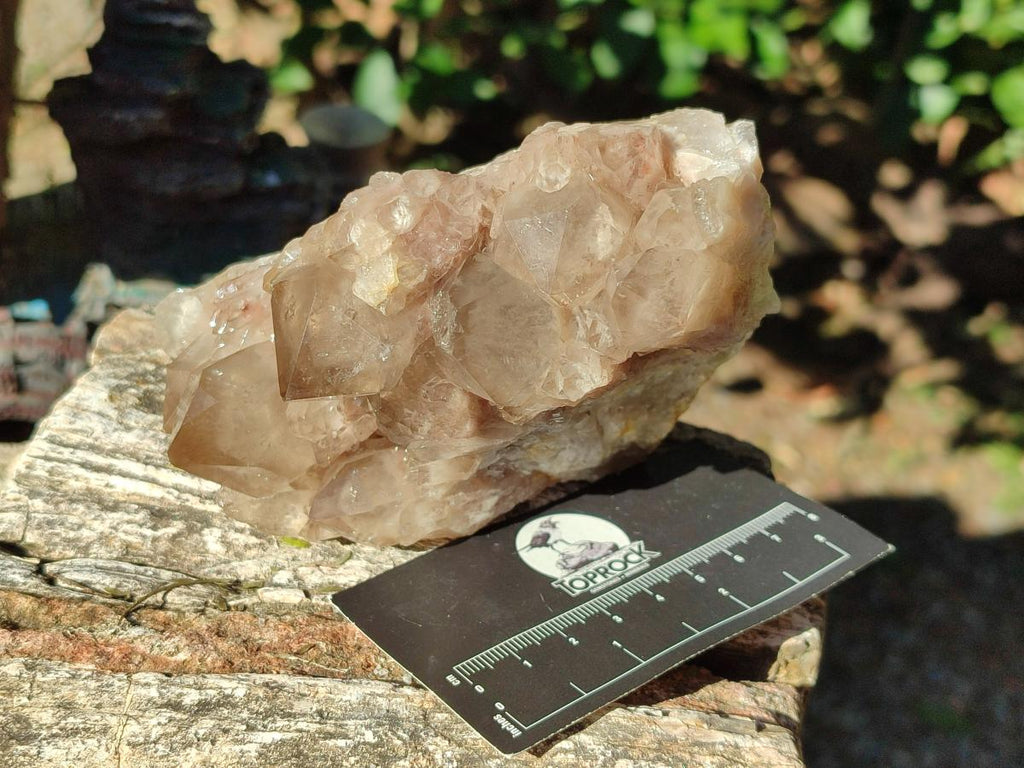 Natural Cascading White Phantom Smokey Luena Quartz Clusters x 2 From Luena, Congo - Toprock Gemstones and Minerals 
