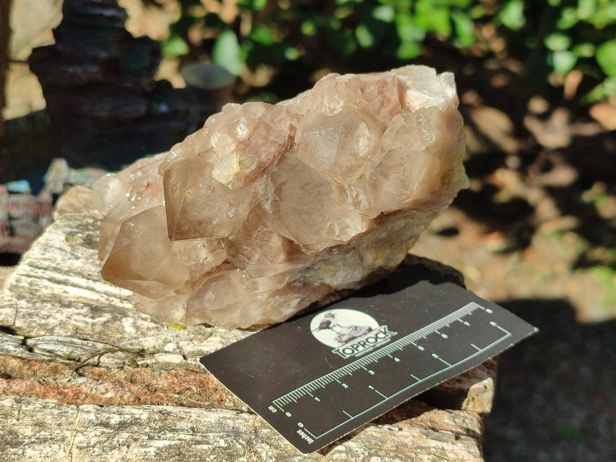 Natural Cascading White Phantom Smokey Luena Quartz Clusters x 2 From Luena, Congo - Toprock Gemstones and Minerals 
