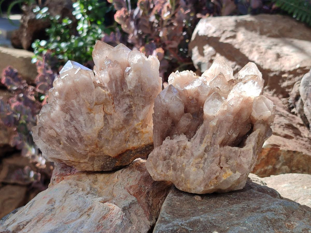 Natural Cascading White Phantom Smokey Luena Quartz Clusters x 2 From Luena, Congo - Toprock Gemstones and Minerals 