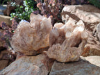 Natural Cascading White Phantom Smokey Luena Quartz Clusters x 2 From Luena, Congo - Toprock Gemstones and Minerals 