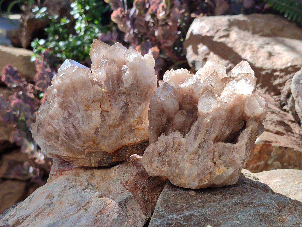 Natural Cascading White Phantom Smokey Luena Quartz Clusters x 2 From Luena, Congo - Toprock Gemstones and Minerals 