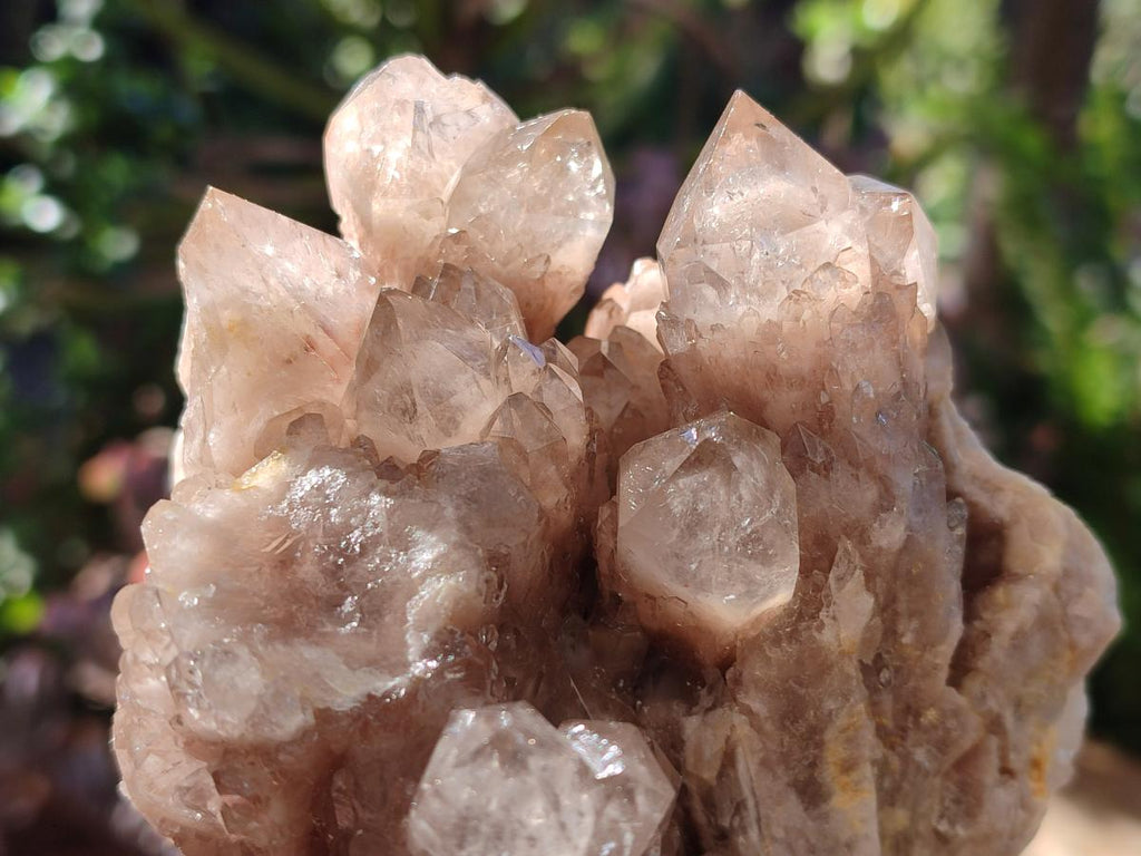 Natural Cascading White Phantom Smokey Luena Quartz Clusters x 2 From Luena, Congo - Toprock Gemstones and Minerals 