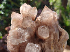 Natural Cascading White Phantom Smokey Luena Quartz Clusters x 2 From Luena, Congo - Toprock Gemstones and Minerals 