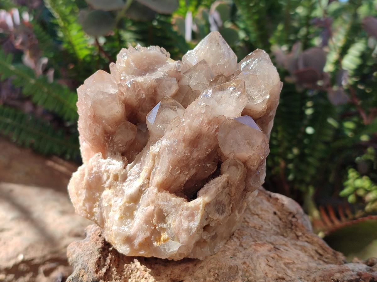 Natural Cascading White Phantom Smokey Luena Quartz Clusters x 2 From Luena, Congo - Toprock Gemstones and Minerals 