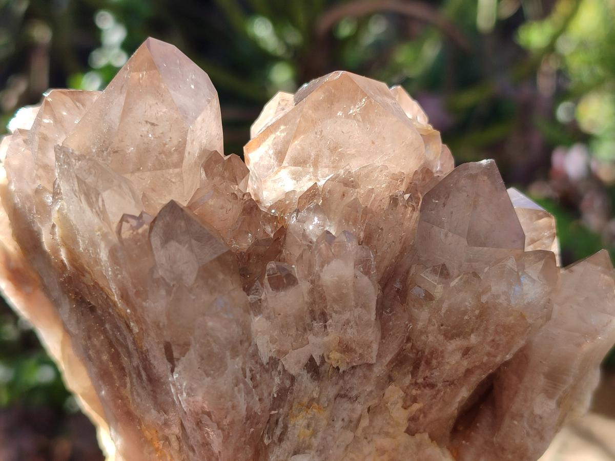 Natural Cascading White Phantom Smokey Luena Quartz Clusters x 2 From Luena, Congo - Toprock Gemstones and Minerals 