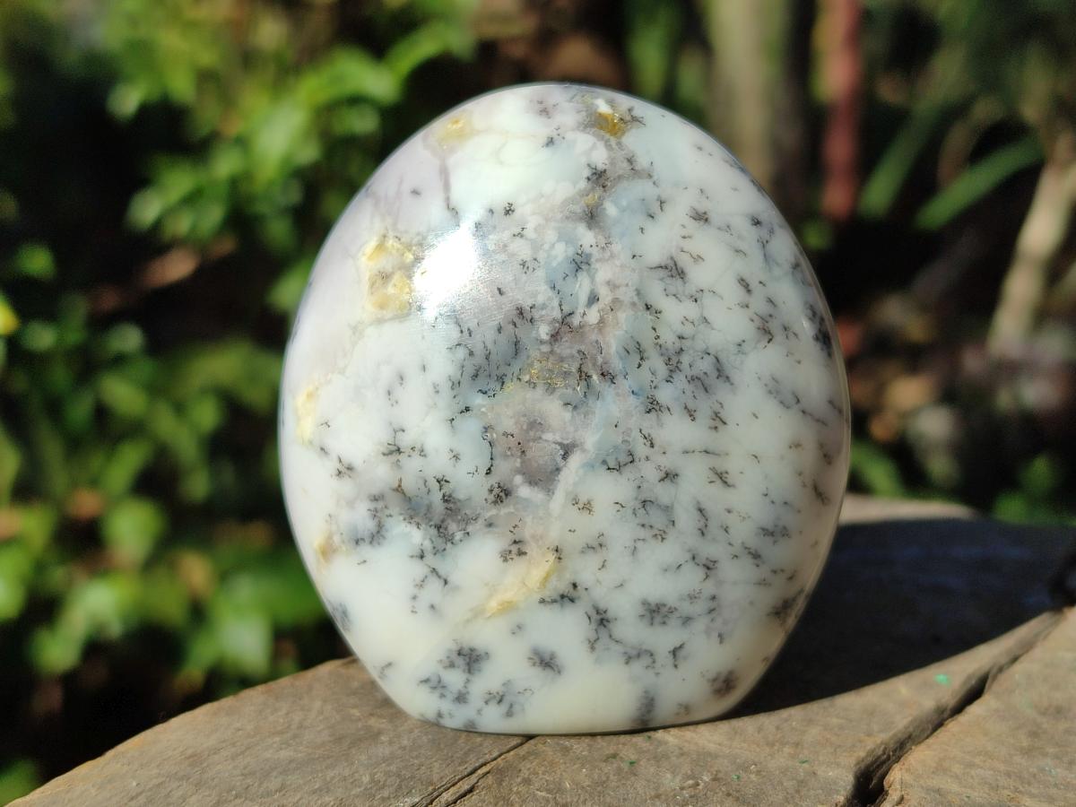 Polished Fluorescent Dendritic Opal Standing Display Pieces x 3 From Moralambo, Madagascar - Toprock Gemstones and Minerals 