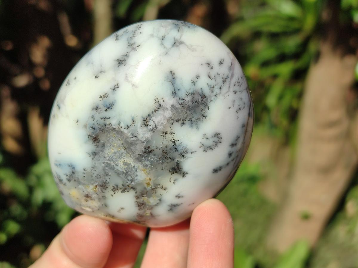 Polished Fluorescent Dendritic Opal Standing Display Pieces x 3 From Moralambo, Madagascar - Toprock Gemstones and Minerals 