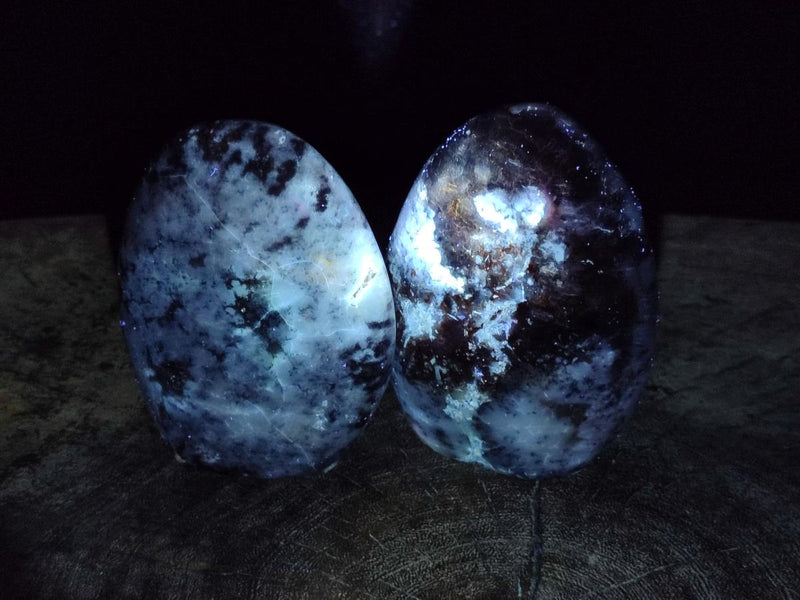 Polished Fluorescent Dendritic Opal Standing Display Pieces x 3 From Moralambo, Madagascar - Toprock Gemstones and Minerals 