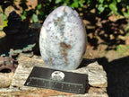 Polished Fluorescent Dendritic Opal Standing Display Pieces x 3 From Moralambo, Madagascar - Toprock Gemstones and Minerals 