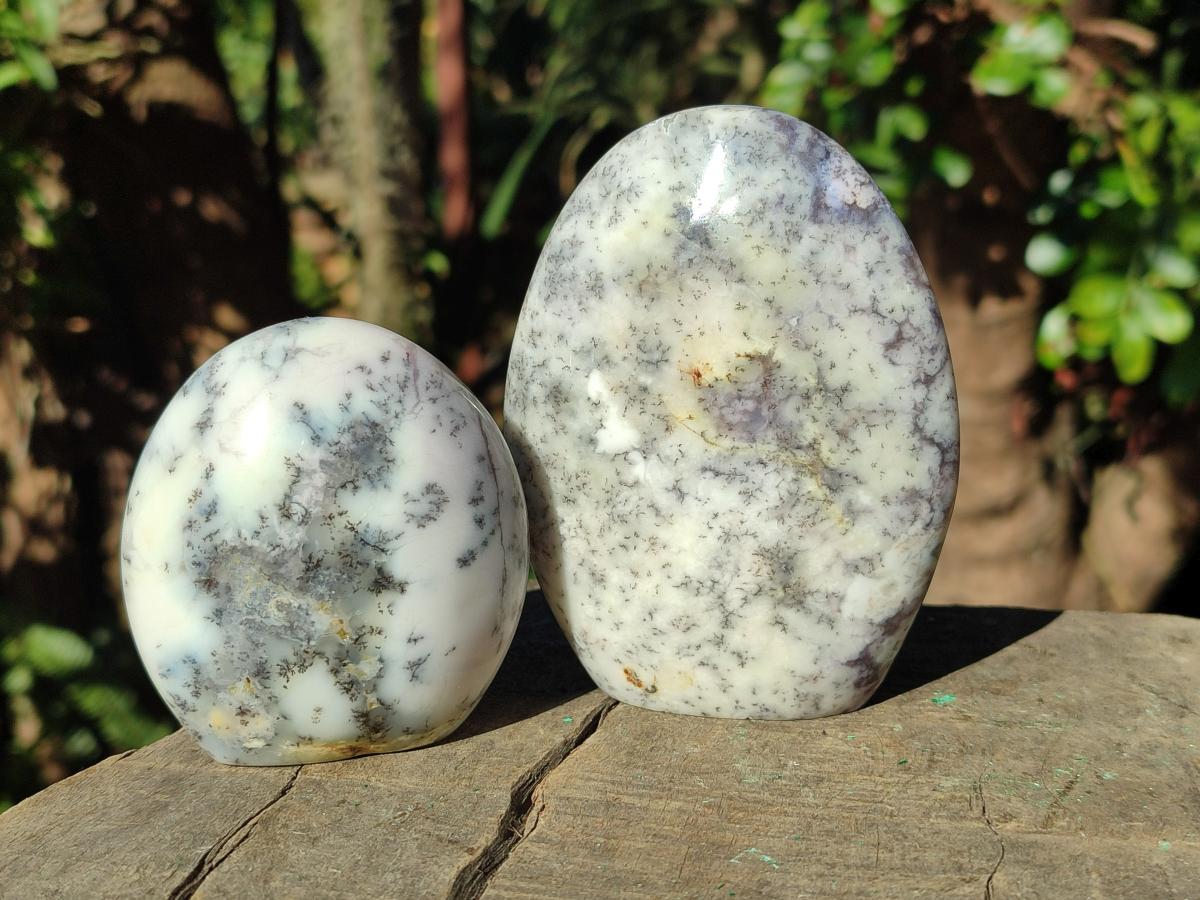 Polished Fluorescent Dendritic Opal Standing Display Pieces x 3 From Moralambo, Madagascar - Toprock Gemstones and Minerals 