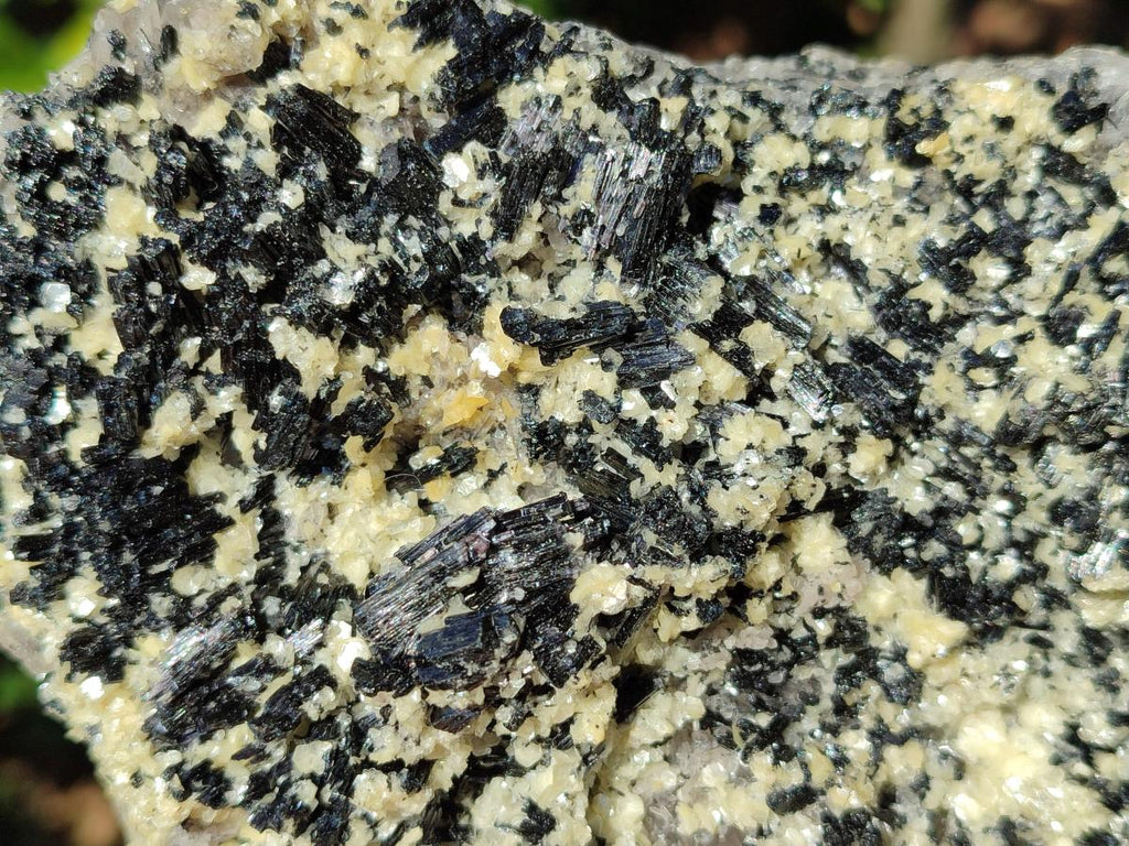Natural Schorl Black Tourmaline with Muscovite Mica Specimens x 2 From Erongo, Namibia - Toprock Gemstones and Minerals 