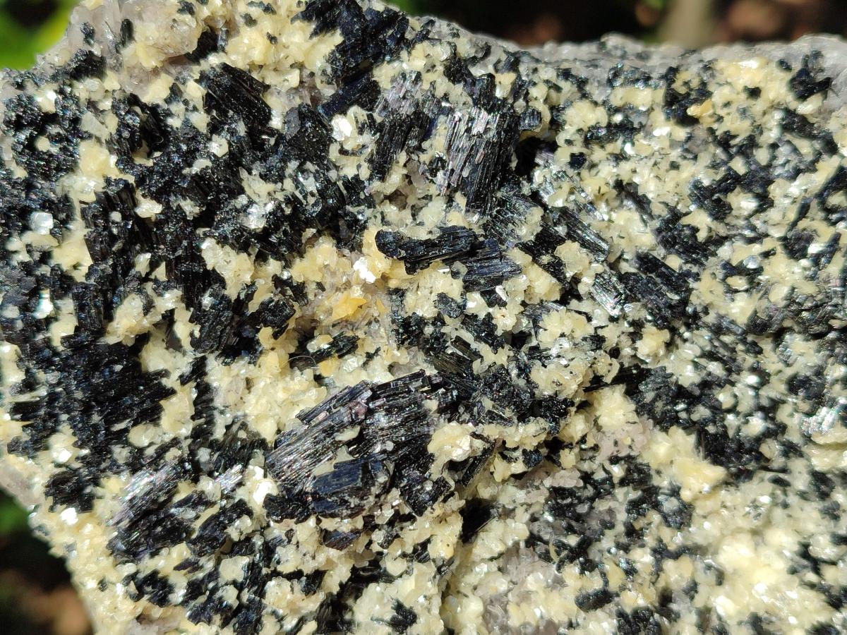 Natural Schorl Black Tourmaline with Muscovite Mica Specimens x 2 From Erongo, Namibia - Toprock Gemstones and Minerals 