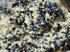 Natural Schorl Black Tourmaline with Muscovite Mica Specimens x 2 From Erongo, Namibia - Toprock Gemstones and Minerals 