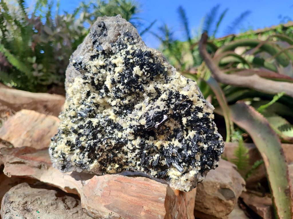 Natural Schorl Black Tourmaline with Muscovite Mica Specimens x 2 From Erongo, Namibia - Toprock Gemstones and Minerals 