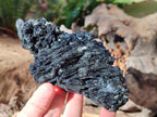 Natural Schorl Black Tourmaline with Muscovite Mica Specimens x 2 From Erongo, Namibia - Toprock Gemstones and Minerals 