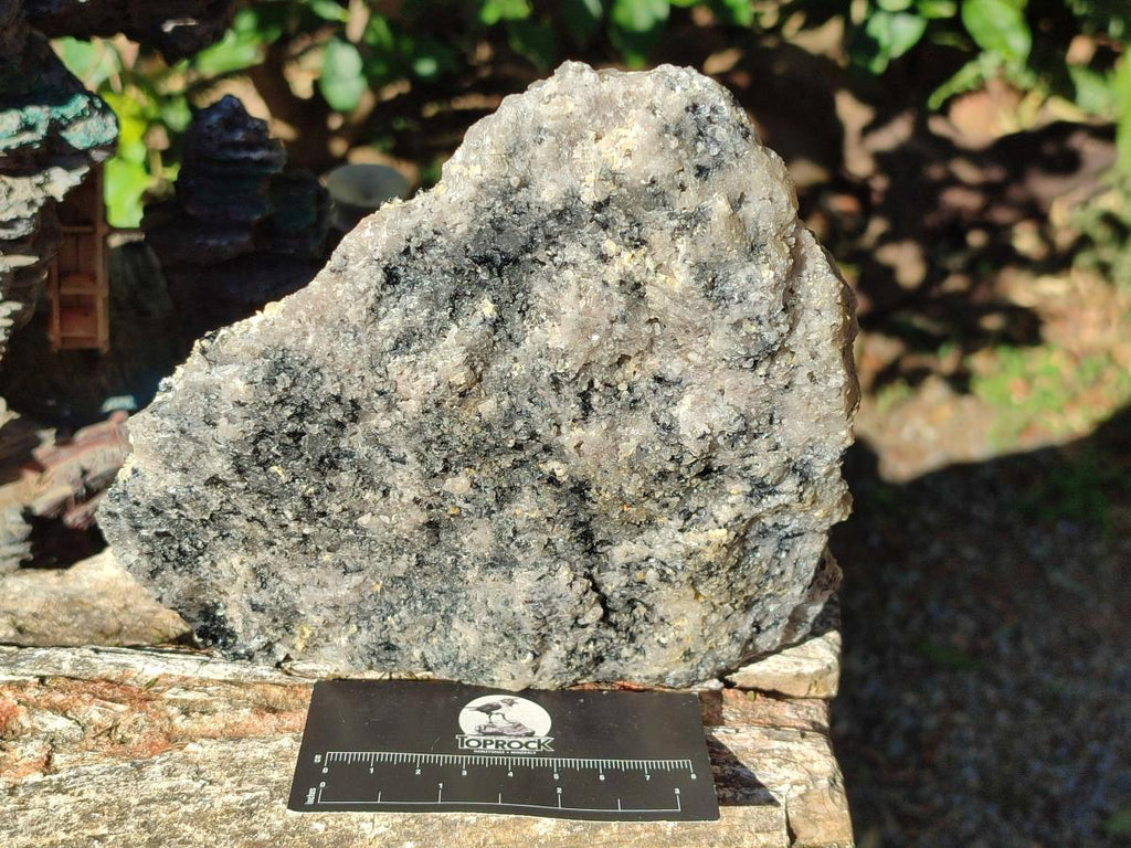 Natural Schorl Black Tourmaline with Muscovite Mica Specimens x 2 From Erongo, Namibia - Toprock Gemstones and Minerals 