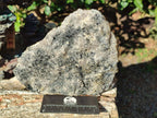 Natural Schorl Black Tourmaline with Muscovite Mica Specimens x 2 From Erongo, Namibia - Toprock Gemstones and Minerals 