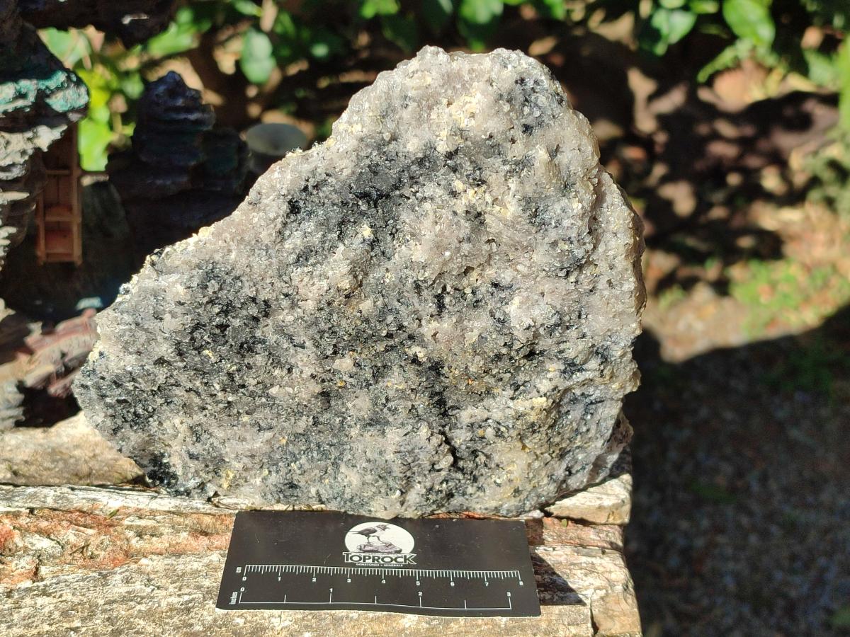 Natural Schorl Black Tourmaline with Muscovite Mica Specimens x 2 From Erongo, Namibia - Toprock Gemstones and Minerals 