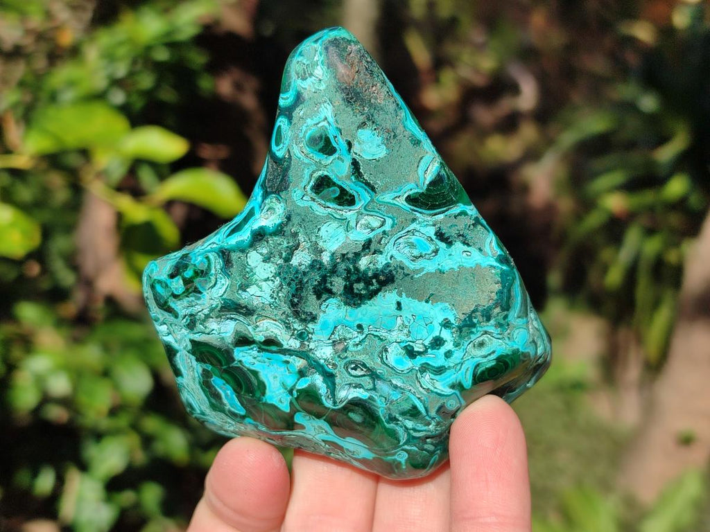 Polished Malacolla Free Forms x 12 From Kulukuluku, Congo - Toprock Gemstones and Minerals 