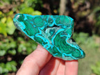 Polished Malacolla Free Forms x 12 From Kulukuluku, Congo - Toprock Gemstones and Minerals 