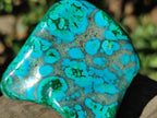 Polished Malacolla Free Forms x 12 From Kulukuluku, Congo - Toprock Gemstones and Minerals 