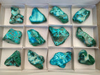 Polished Malacolla Free Forms x 12 From Kulukuluku, Congo - Toprock Gemstones and Minerals 