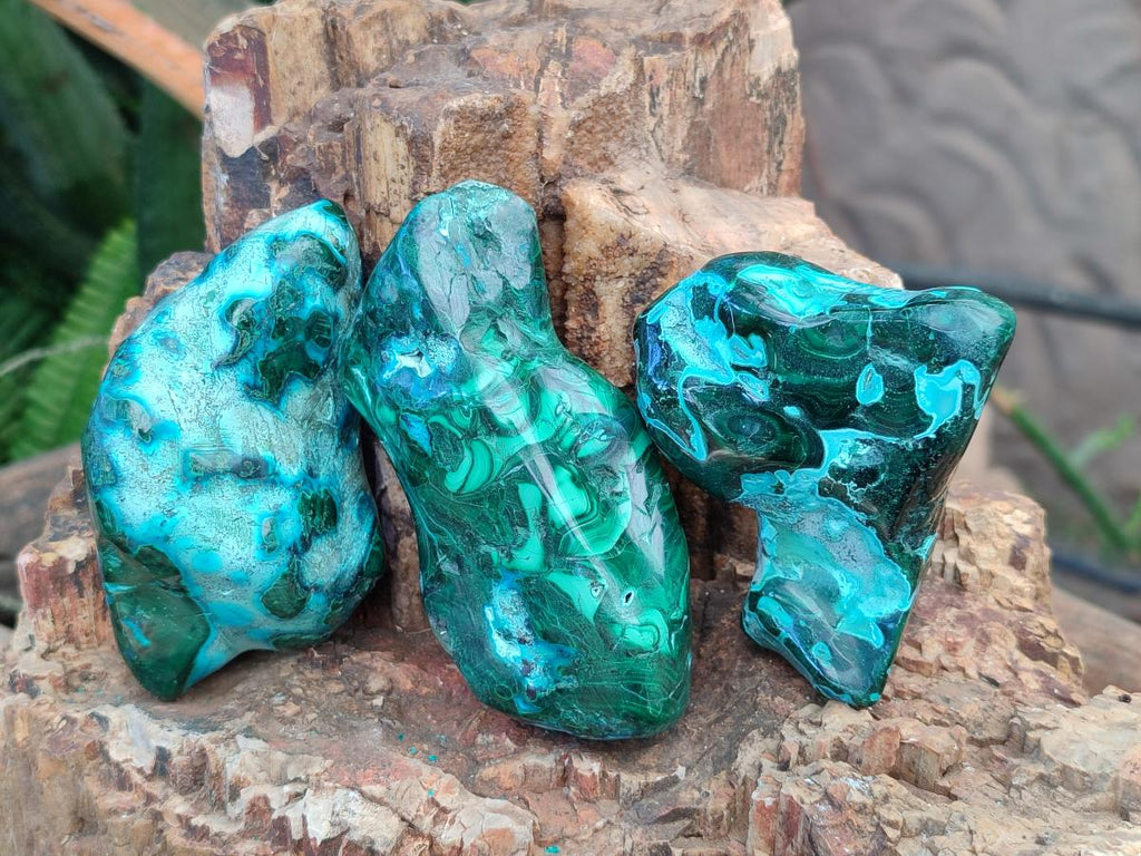 Polished Malacolla Free Forms x 12 From Kulukuluku, Congo - Toprock Gemstones and Minerals 