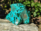 Polished Malacolla Free Forms x 12 From Kulukuluku, Congo - Toprock Gemstones and Minerals 