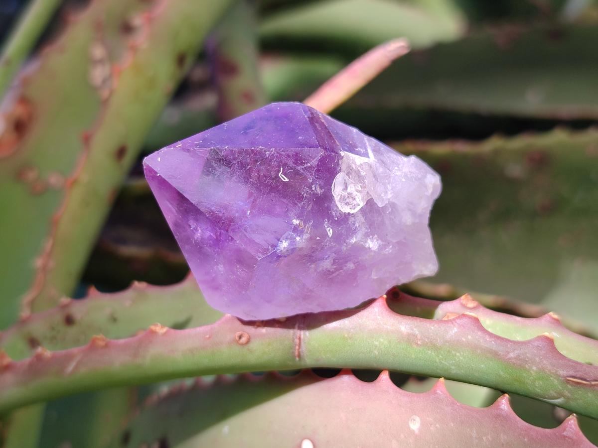 Natural Jacaranda Amethyst Single Crystals x 35 From Mumbwa, Zambia - Toprock Gemstones and Minerals 