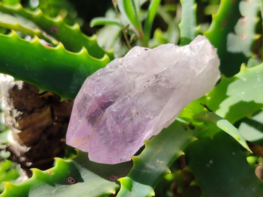Natural Jacaranda Amethyst Single Crystals x 35 From Mumbwa, Zambia - Toprock Gemstones and Minerals 