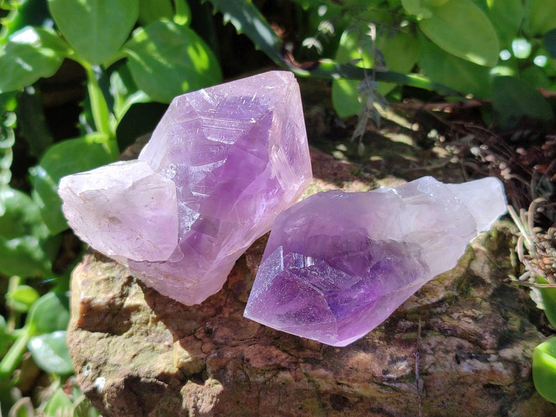 Natural Jacaranda Amethyst Single Crystals x 35 From Mumbwa, Zambia - Toprock Gemstones and Minerals 