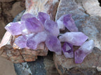 Natural Jacaranda Amethyst Single Crystals x 35 From Mumbwa, Zambia - Toprock Gemstones and Minerals 
