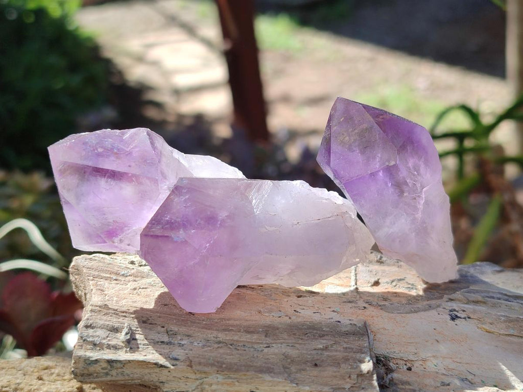 Natural Jacaranda Amethyst Single Crystals x 35 From Mumbwa, Zambia - Toprock Gemstones and Minerals 