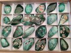 Polished Mtorolite Free Forms x 24 From Mutorashanga, Zimbabwe - Toprock Gemstones and Minerals 