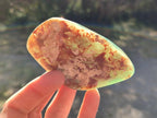 Polished Mtorolite Free Forms x 24 From Mutorashanga, Zimbabwe - Toprock Gemstones and Minerals 