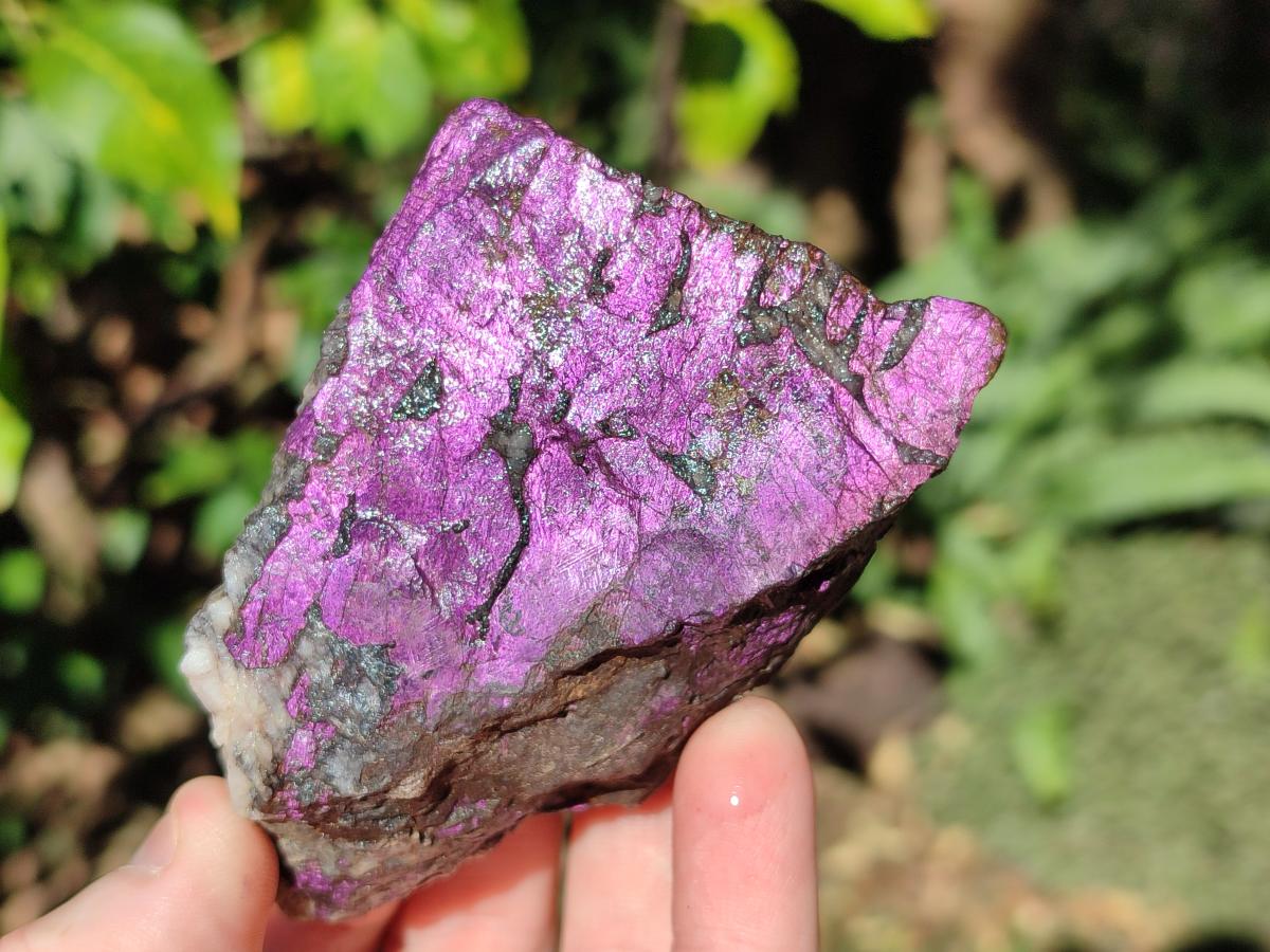 Natural Metallic Cobbed Purpurite Specimens x 18 From Erongo, Namibia - Toprock Gemstones and Minerals 