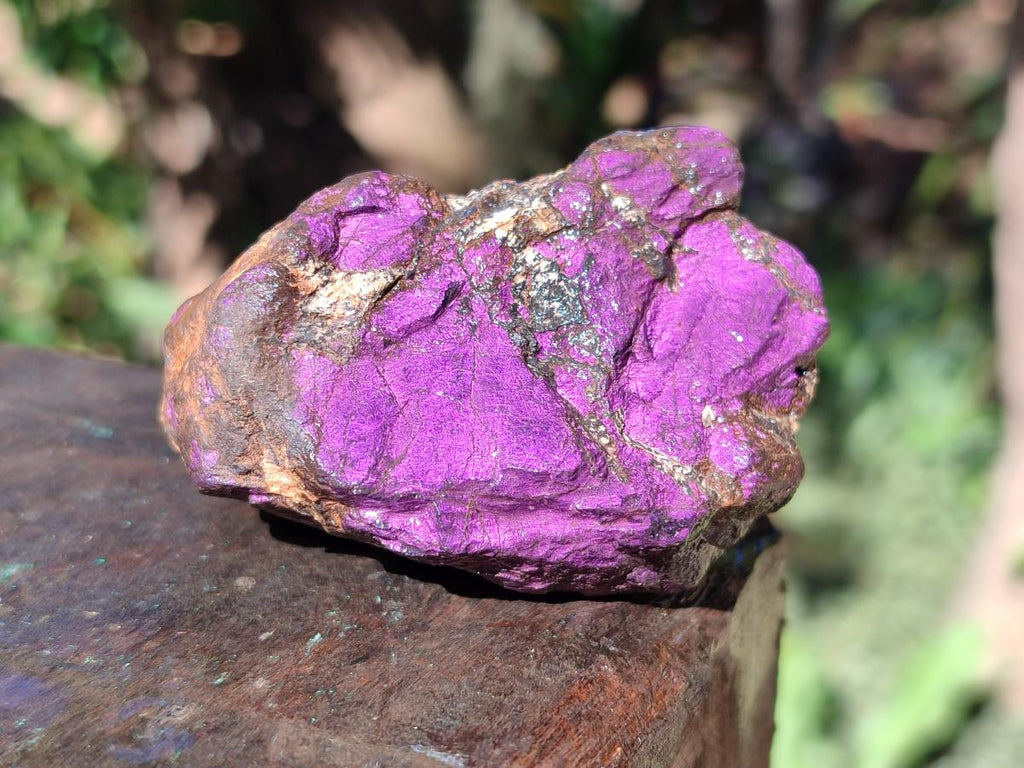 Natural Metallic Cobbed Purpurite Specimens x 18 From Erongo, Namibia - Toprock Gemstones and Minerals 