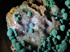 Natural Large Ball Malachite on Crystalline Smokey Quartz and Dolomite Matrix x 1 From Mindingi Mine, Kambove, Congo - Toprock Gemstones and Minerals 