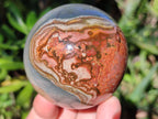 Polished Polychrome Jasper Spheres x 4 From NW Coast, Madagascar - Toprock Gemstones and Minerals 