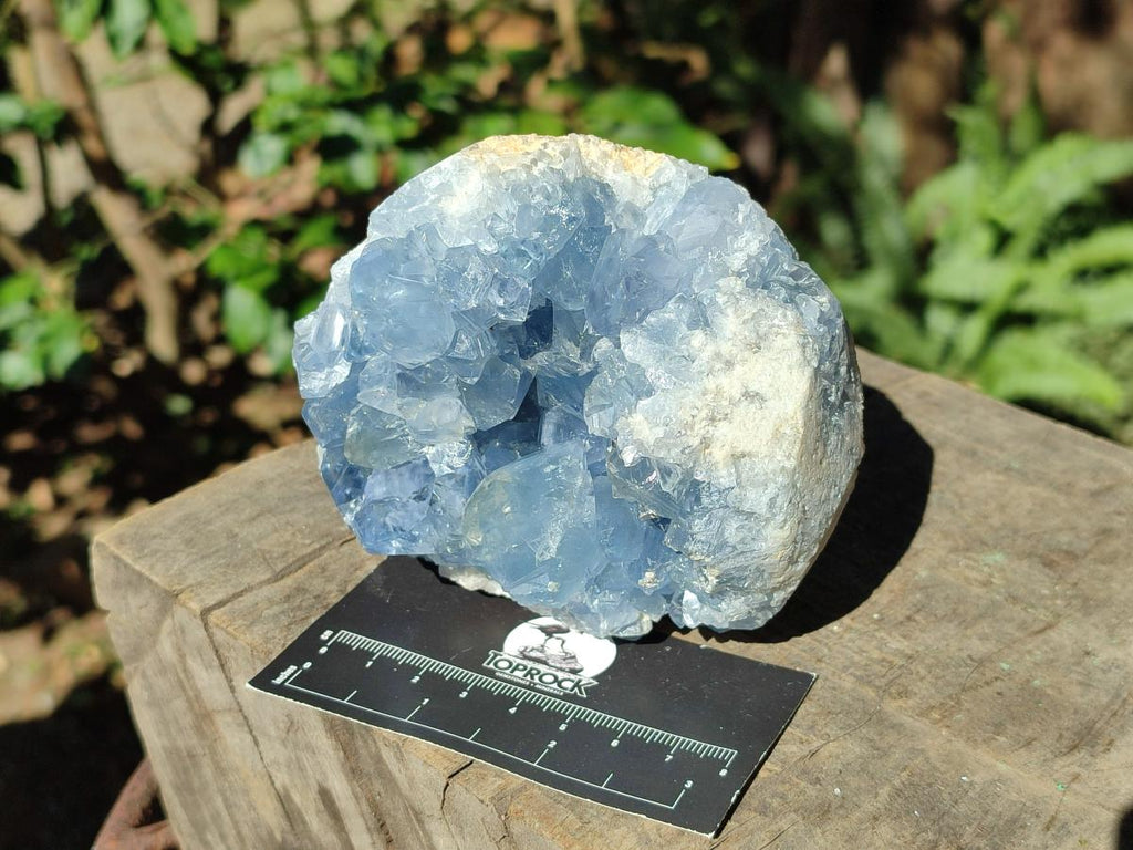 Natural Blue Celestite Specimens x 2 From Sakoany, Madagascar - Toprock Gemstones and Minerals 