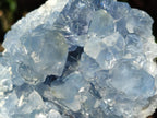 Natural Blue Celestite Specimens x 2 From Sakoany, Madagascar - Toprock Gemstones and Minerals 